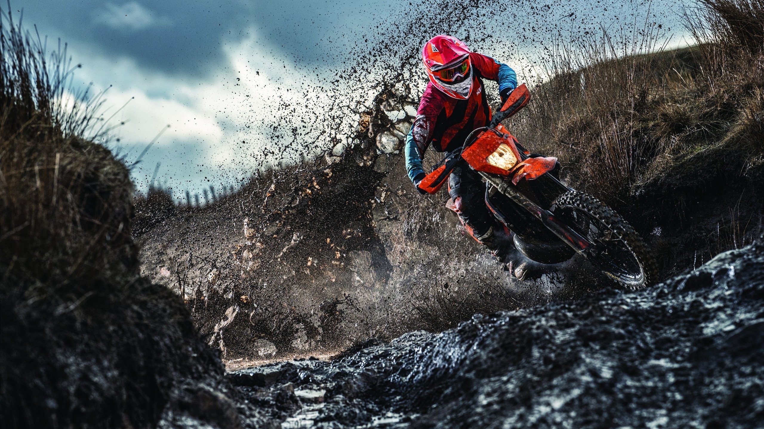 纪录追逐：哪些球员有望超越历史？，进步最快球员